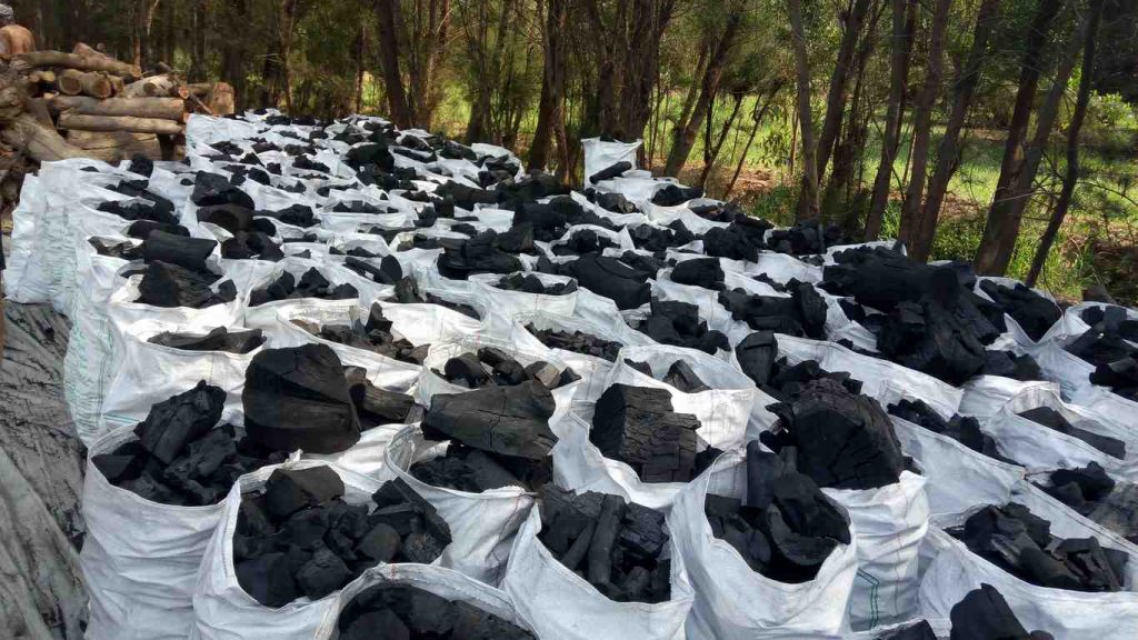 All Factory Charcoal in Egypt